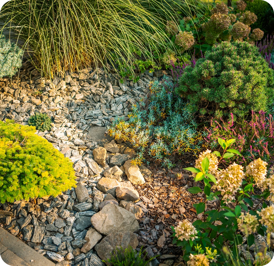 Rock garden landscaping featuring shrubs, colorful flowers, and lush foliage